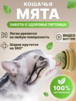Кошачья мята для кошек (мятный шарик) GO-DZ- 5 / К 1000/ В 30 анонс фото